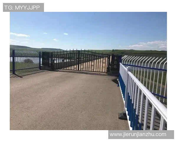 《足球传奇:那些曾在书本上留下足迹的球星故事》 《足球传奇:那些曾在书本上留下足迹的球星故事》